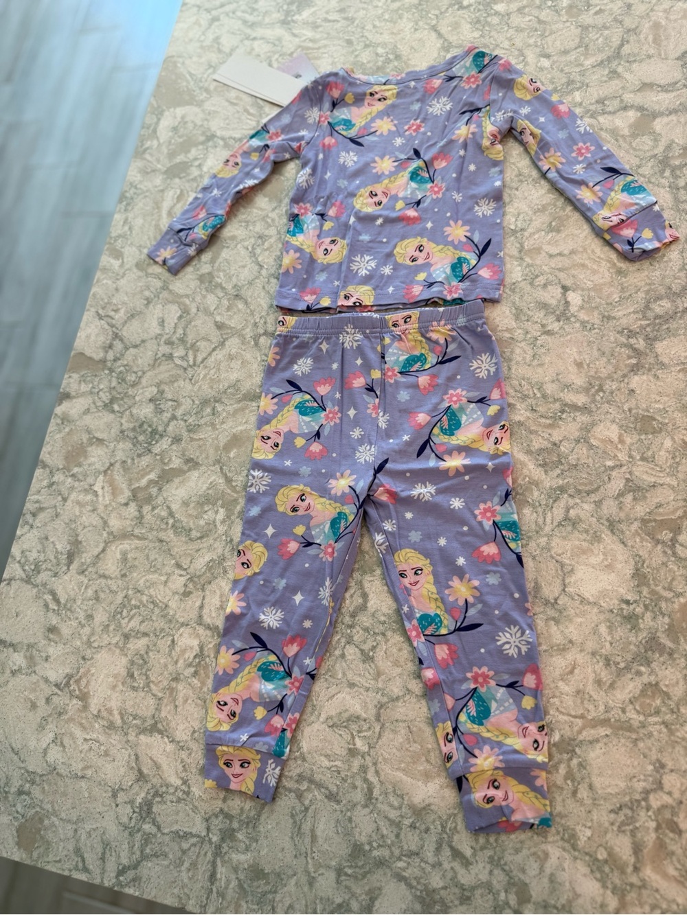 NWT Disney Frozen Elsa Floral Pajama Set Girls 2T